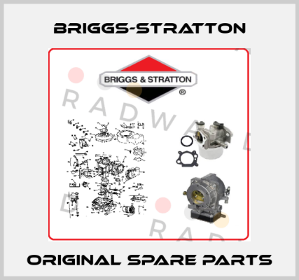 Briggs-Stratton