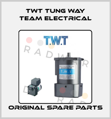 TWT TUNG WAY TEAM ELECTRICAL