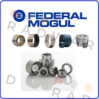 Federal Mogul