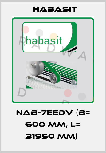 NAB-7EEDV (B= 600 mm, L= 31950 mm)  Habasit