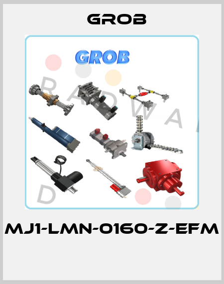 MJ1-LMN-0160-Z-EFM  Grob
