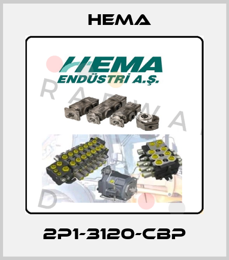 2P1-3120-CBP Hema