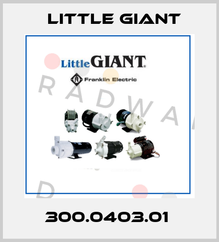 300.0403.01  Little Giant