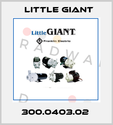 300.0403.02  Little Giant