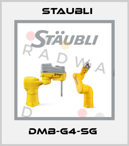 DMB-G4-SG  Staubli