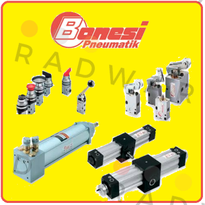 E13A8/B1/E   Bonesi Pneumatic