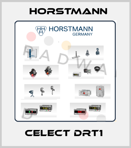 CELECT DRT1  Horstmann