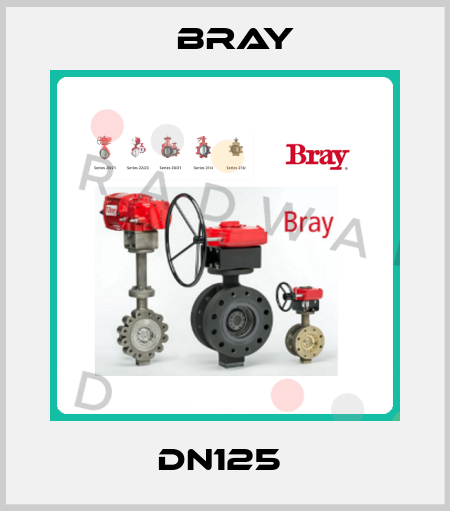 DN125  Bray