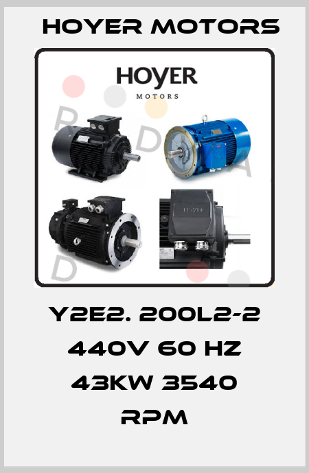 Y2E2. 200L2-2 440V 60 HZ 43KW 3540 RPM Hoyer Motors