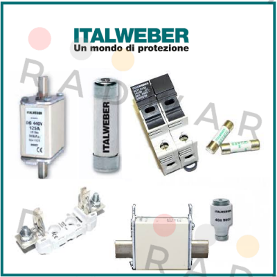 0105025  Italweber