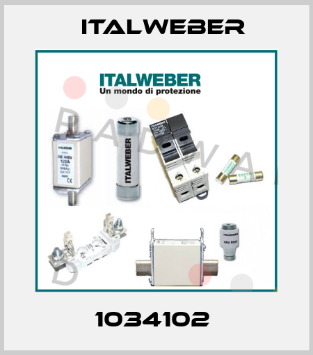 1034102  Italweber