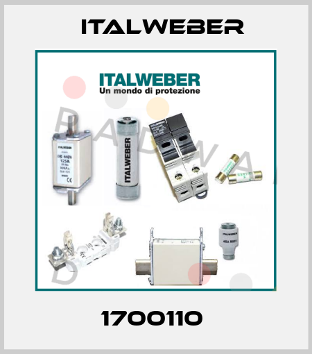1700110  Italweber