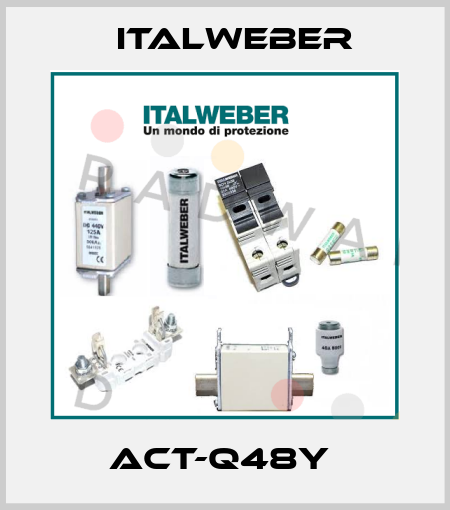 ACT-Q48Y  Italweber