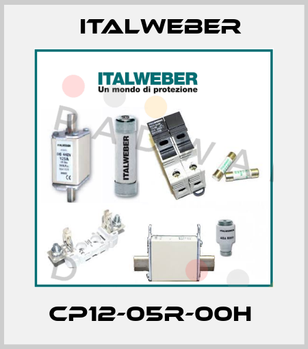 CP12-05R-00H  Italweber