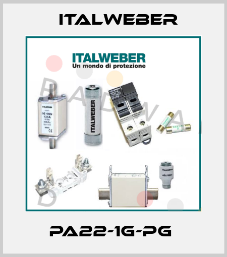 PA22-1G-PG  Italweber