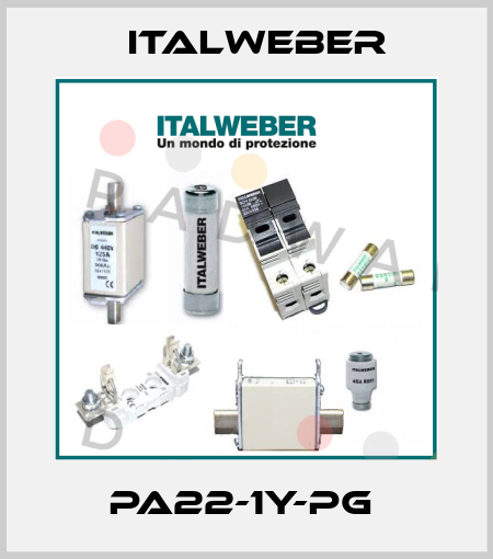 PA22-1Y-PG  Italweber