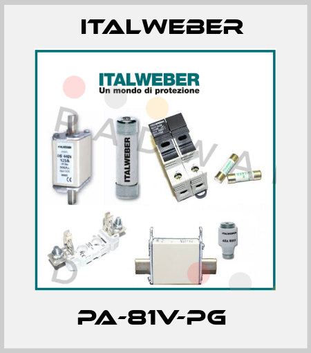 PA-81V-PG  Italweber