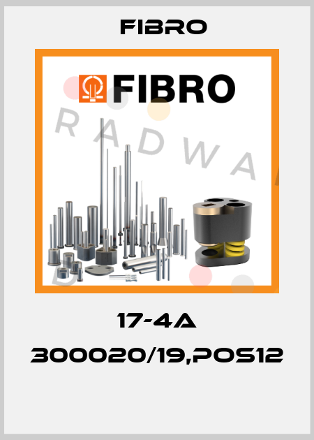 17-4A 300020/19,pos12  Fibro