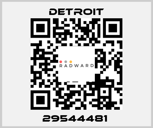 29544481  Detroit