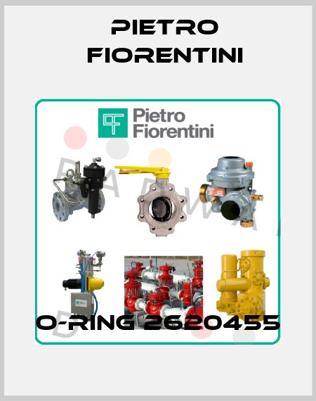 O-Ring 2620455 Pietro Fiorentini