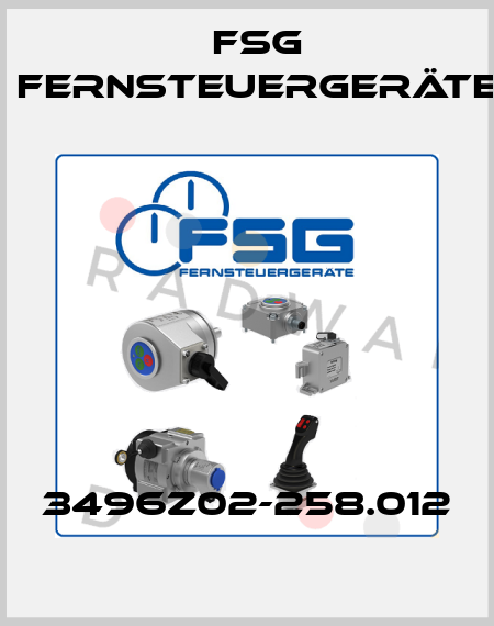 3496Z02-258.012 FSG Fernsteuergeräte