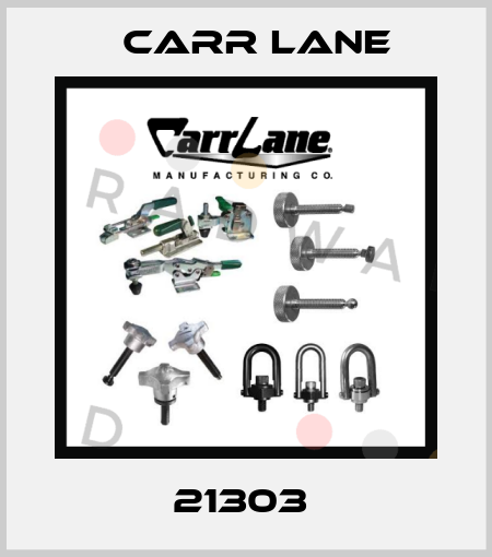 21303  Carr Lane