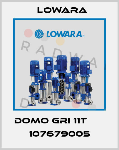 DOMO GRI 11T       107679005 Lowara