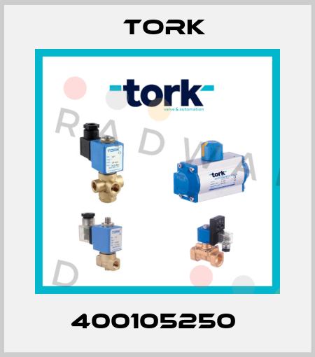 400105250  Tork