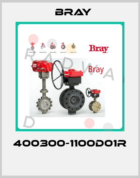 400300-1100D01R  Bray