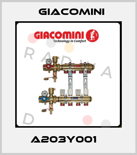 A203Y001    Giacomini