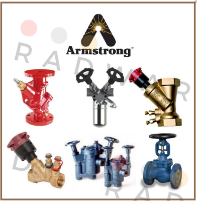 1811 NPT-1/2"  Armstrong