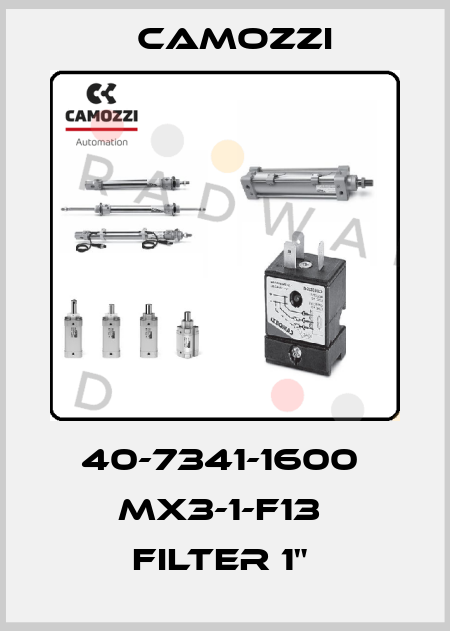 40-7341-1600  MX3-1-F13  FILTER 1"  Camozzi