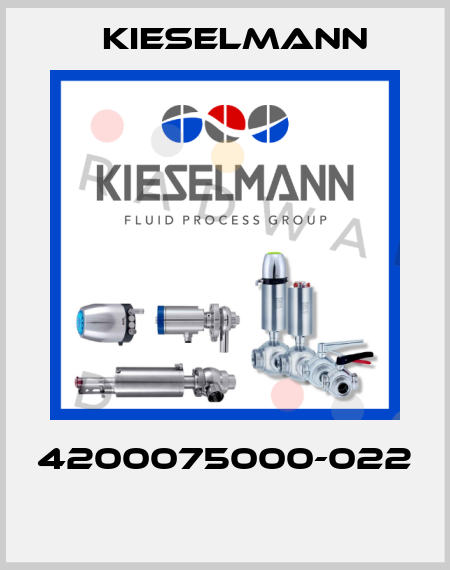 4200075000-022  Kieselmann