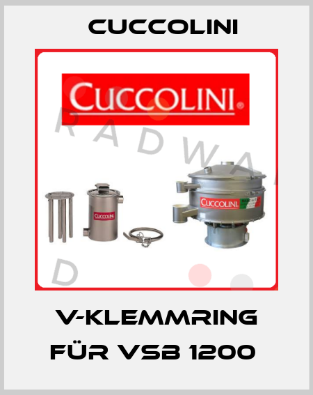 V-Klemmring für VSB 1200  Cuccolini