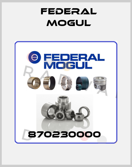 870230000  Federal Mogul