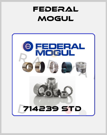 714239 STD  Federal Mogul
