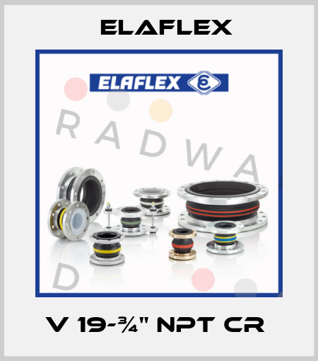 V 19-¾" NPT cr  Elaflex