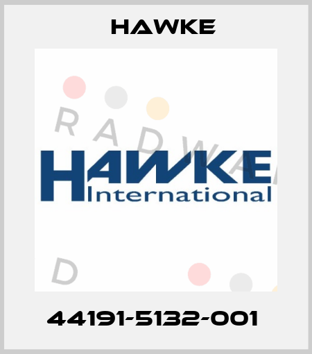 44191-5132-001  Hawke