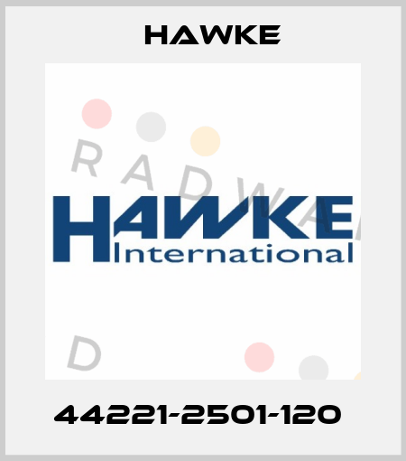 44221-2501-120  Hawke
