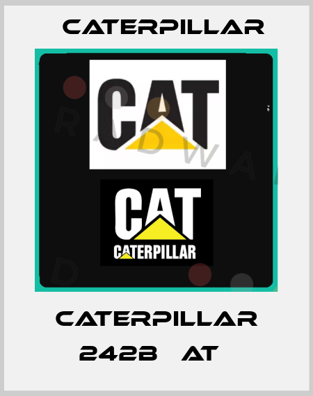 CATERPILLAR 242B   AT   Caterpillar