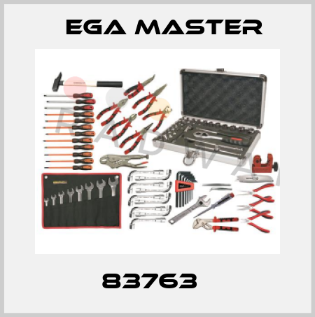 83763   EGA Master