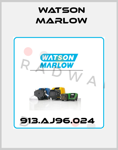 913.AJ96.024  Watson Marlow
