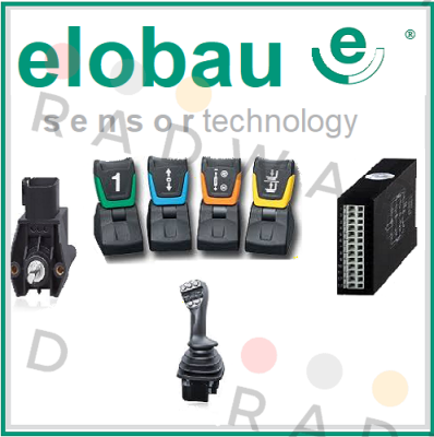 46212H1 SAFETY CONTROL UNIT  Elobau