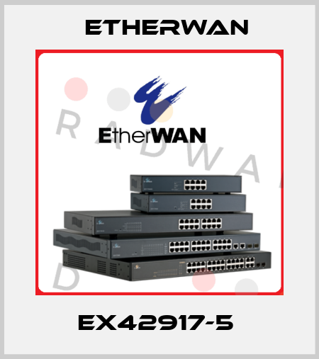 EX42917-5  Etherwan