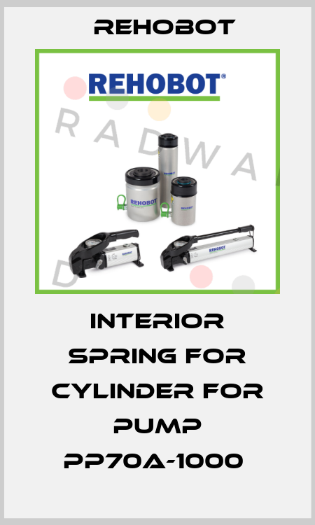 Interior spring for cylinder for pump PP70A-1000  Rehobot