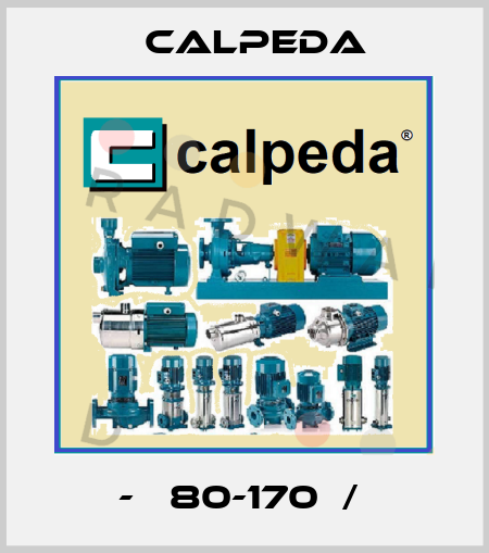 В-А 80-170В/А  Calpeda