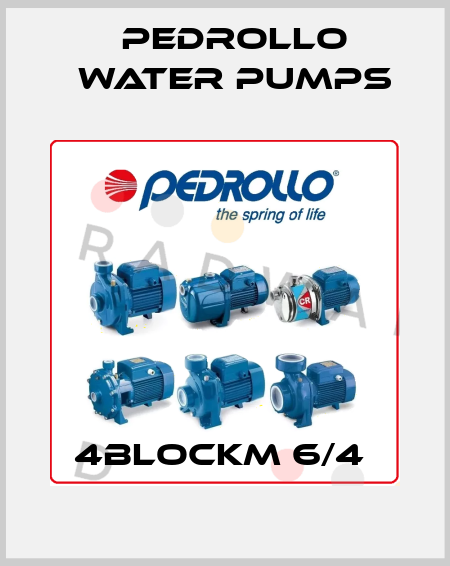 4BLOCKM 6/4  Pedrollo Water Pumps