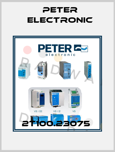 2T100.23075  Peter Electronic