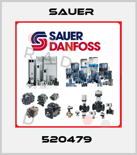 520479  Sauer