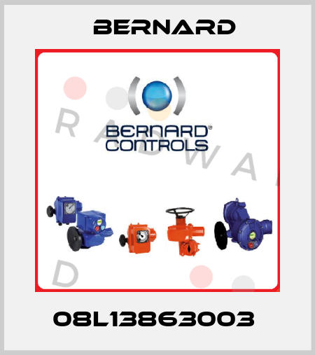 08L13863003  Bernard